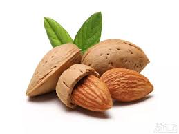 خرید بادام شاهرودی مرغوب + خرید به قیمت فروش